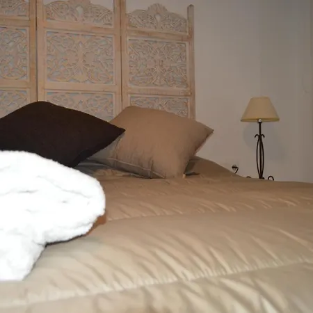 Alcazar Viejo Tourist Apartament *