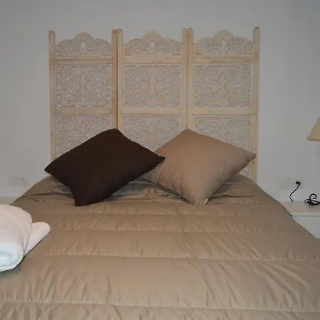 Alcazar Viejo Tourist