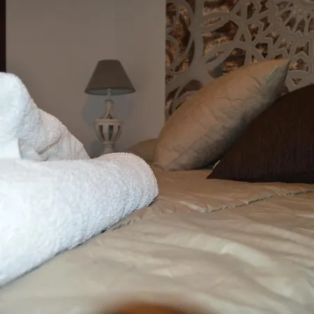 Alcazar Viejo Tourist *