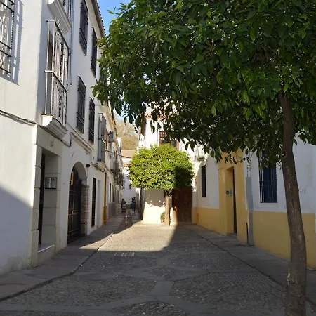 アパート Alcazar Viejo Tourist コルドバ