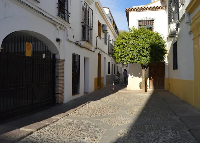 Lejlighed Alcazar Viejo Tourist *