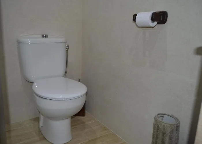 Alcazar Viejo Tourist Apartment *