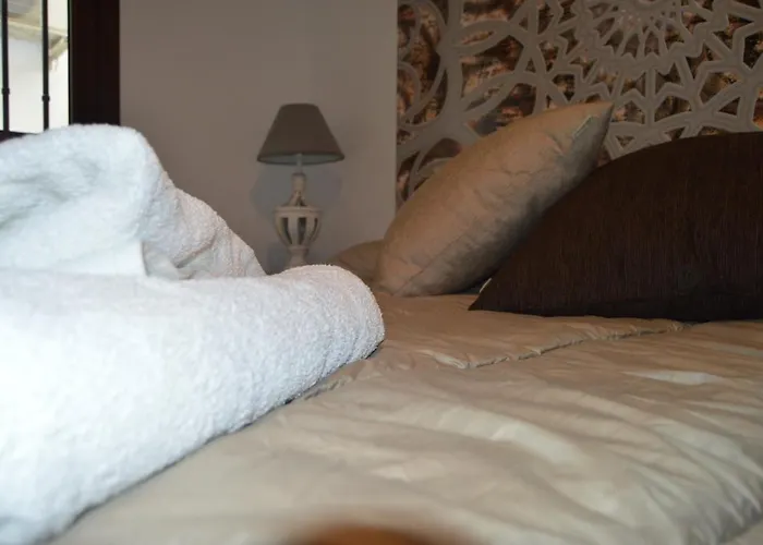 Alcazar Viejo Tourist *