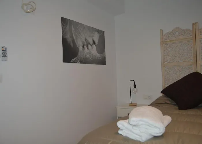 Alcazar Viejo Tourist *